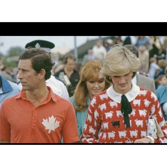 Warm & Wonderful x Rowing Blazers Princess Diana Black Sheep Wool Sweater Size S - Picture 4 of 16